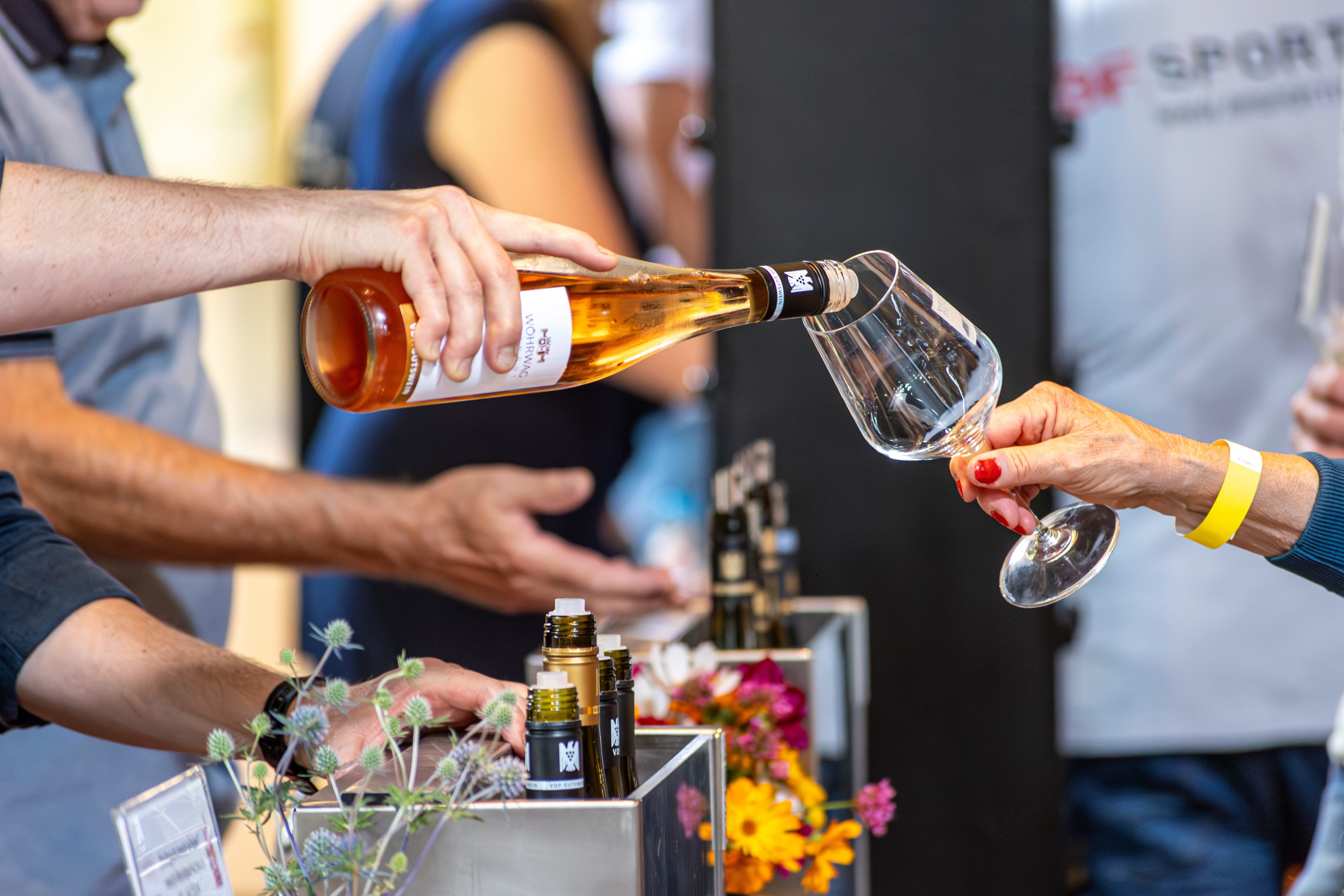Stuttgarts beste Weine im Weinbaumuseum Stuttgarts beste Weine im Weinbaumuseum